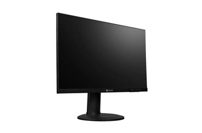 Picture of FS-24G 23,8" (60,4cm) LCD Monitor                                                                  